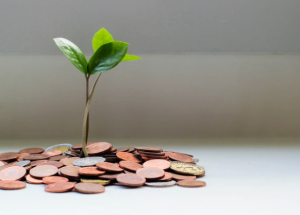 how to manage your money