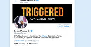 Donald Trump Jr Suspended On Twitter