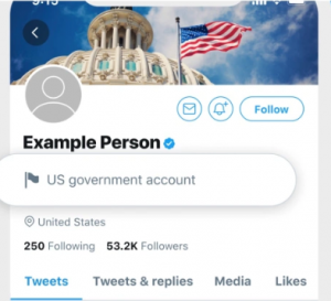 twitter labeled government account